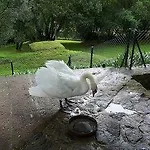 ゲストハウス Casas Do Rio Cossourado