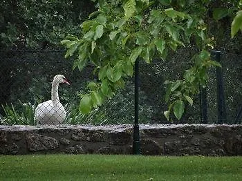 Guest house Casas Do Rio 4*