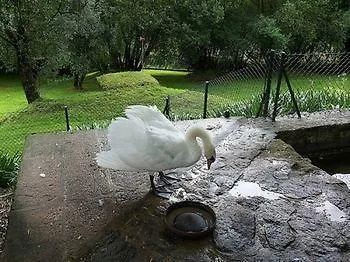 Guest house Casas Do Rio Cossourado (Braga)